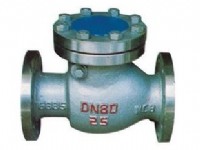 H44W-25P type stainless steel swing check valve