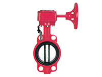 BWS (F) X-0050 fire signal